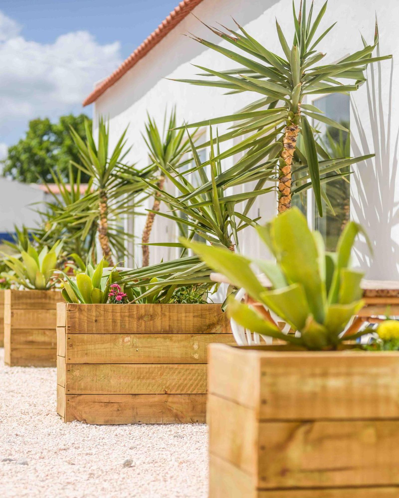 Valle D'Agua - Casas De Campo Vale de Água エクステリア 写真