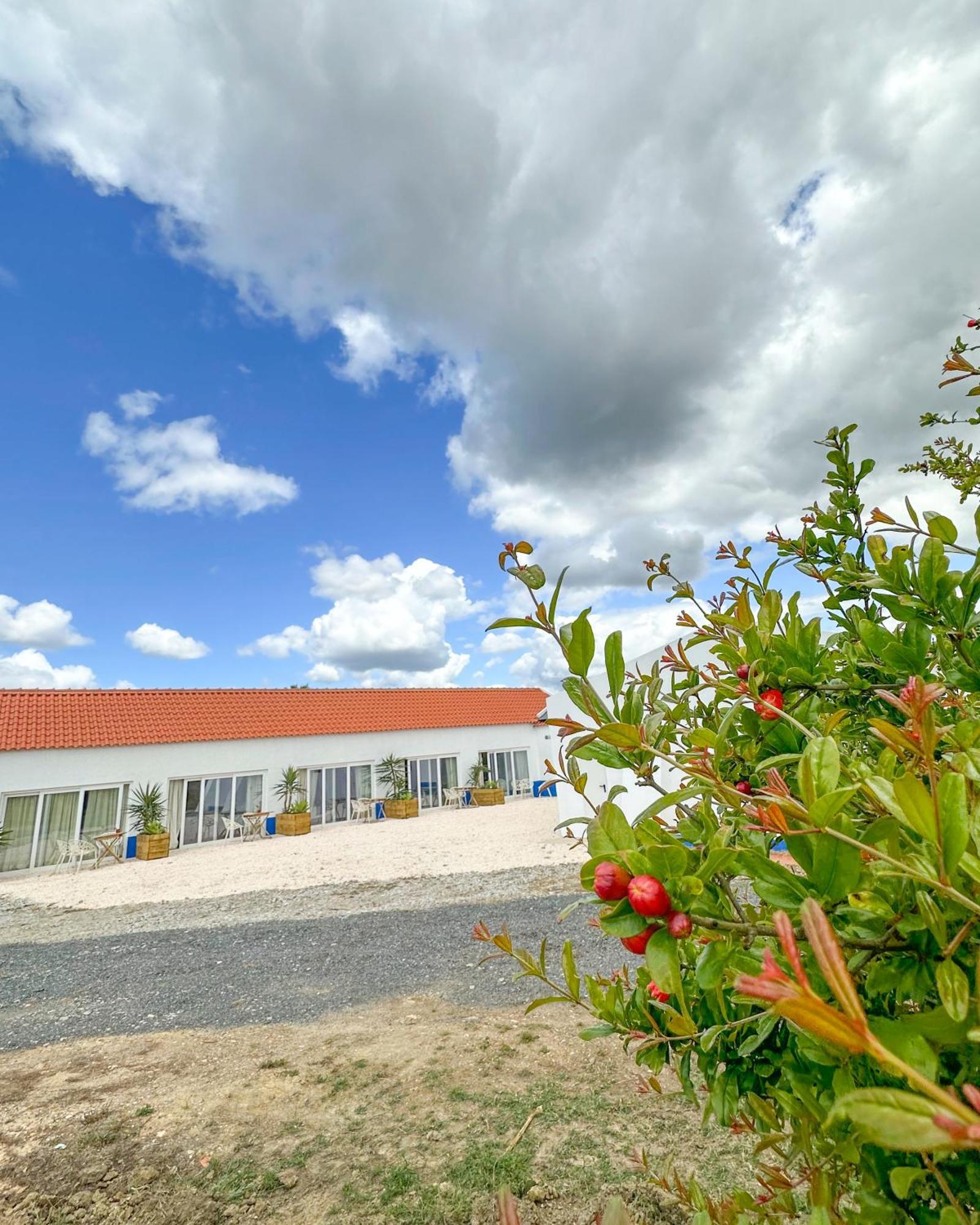 Valle D'Agua - Casas De Campo Vale de Água エクステリア 写真