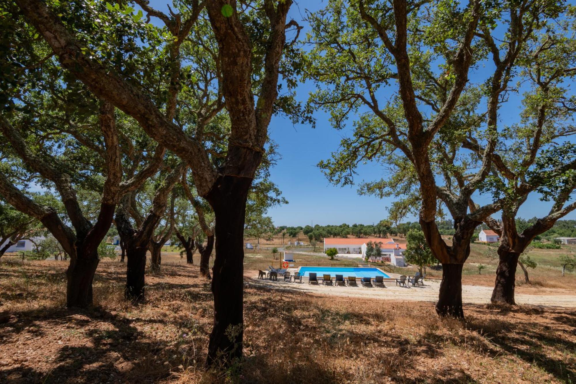 Valle D'Agua - Casas De Campo Vale de Água エクステリア 写真