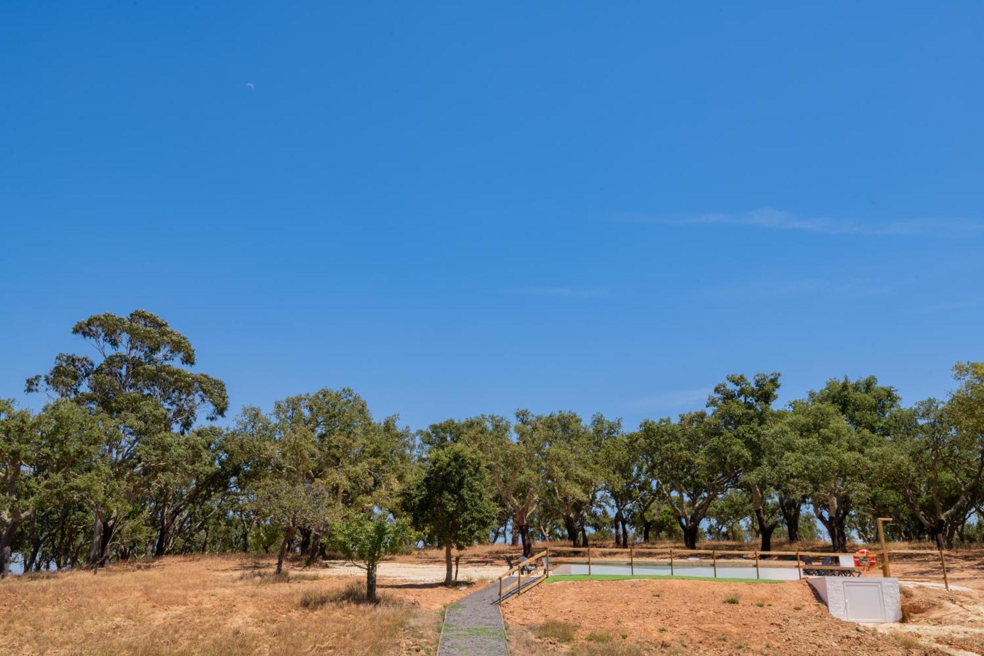 Valle D'Agua - Casas De Campo Vale de Água エクステリア 写真